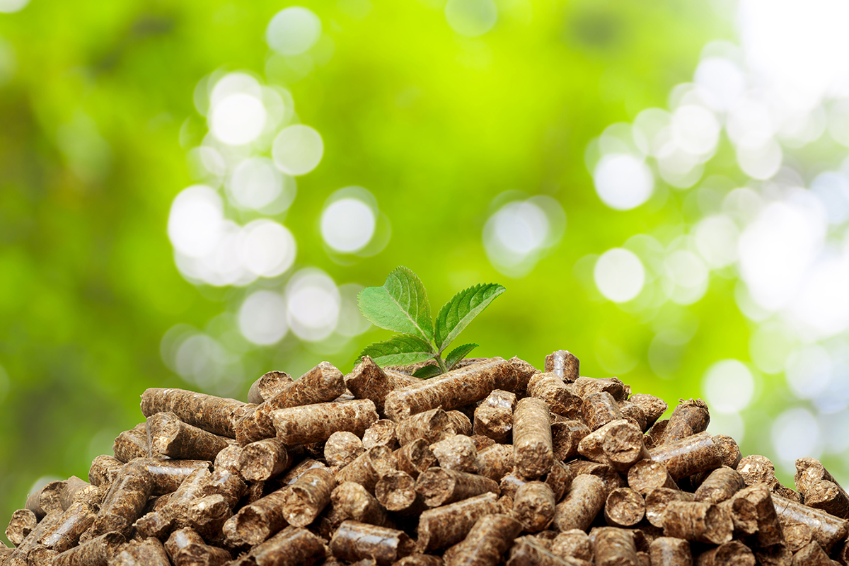 Top Reasons Why Biomass Dust Collection Demands a Customized Approach